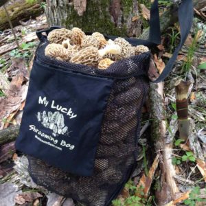 Morel Mushroom Hunting Bag
