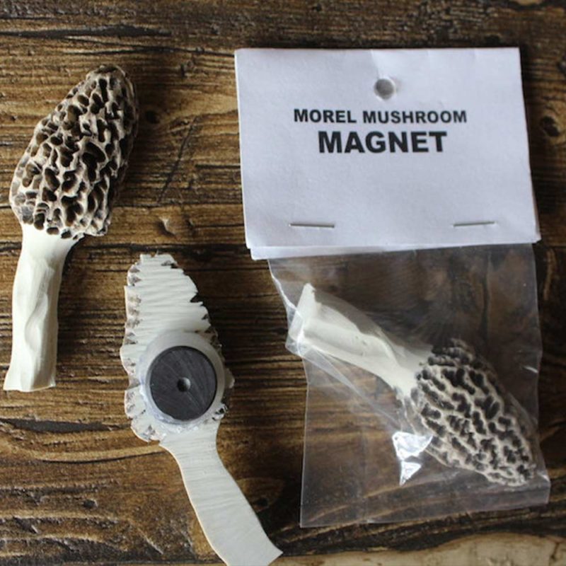 Morel Mushroom Magnet