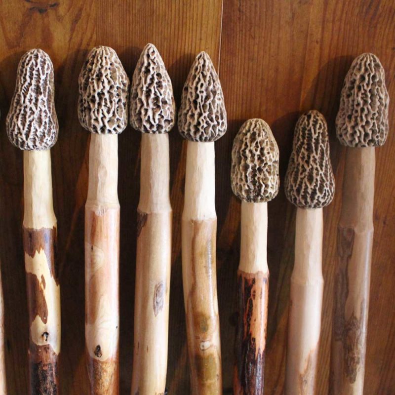 Morel Mushroom Hiking Sticks