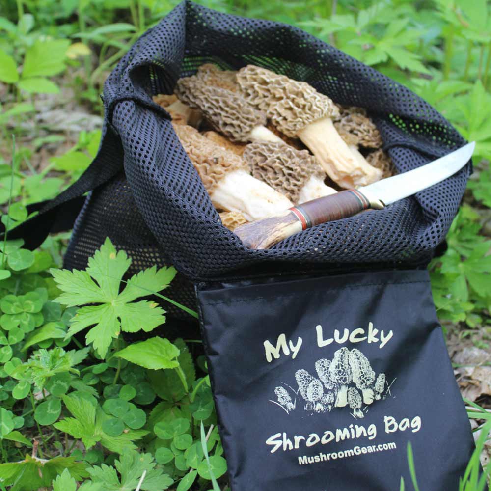DeLuxe Morel Mushroom Hunting Mazur's Sack Expandable Nylon Mesh Bag