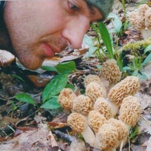 Morel Mushroom Hunting