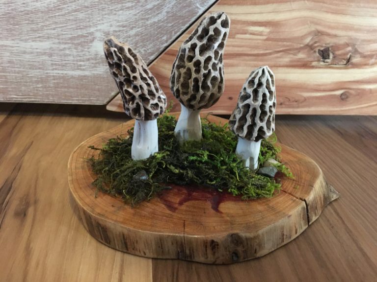 Handmade morel mushrooms